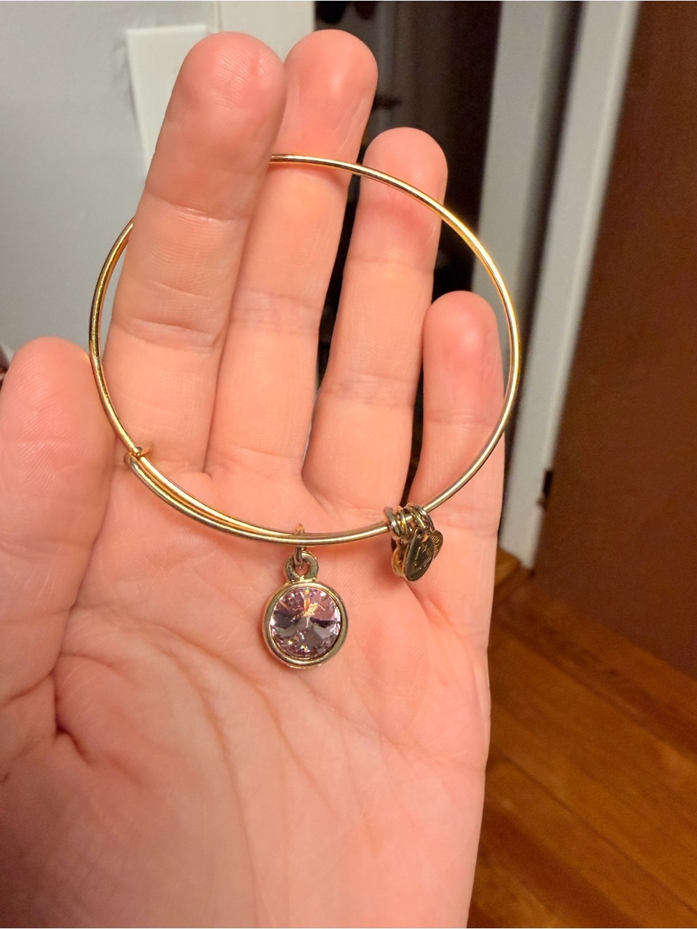 Alex and Ani Gold Tone Women's Charm Bangle Bracelet with Purple Stone